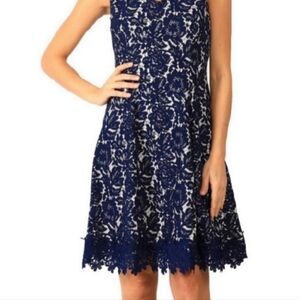 Roz & Ali Navy Blue Lace Midi Dress